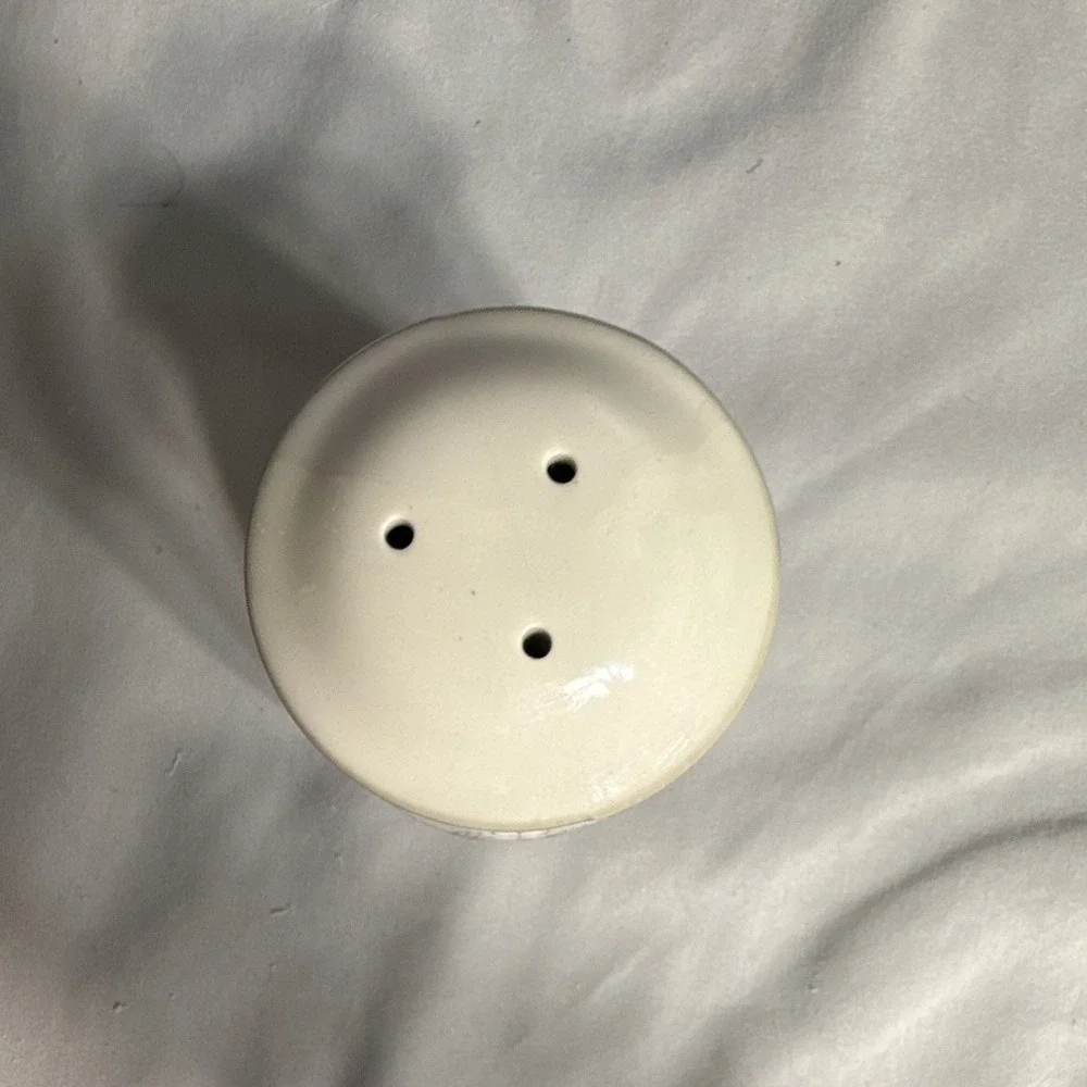 White/Beige Glossy Ceramic Floral Decorative Salt Shaker, Round, 3 in
